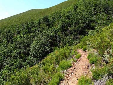 Rutas canales romanos orellan