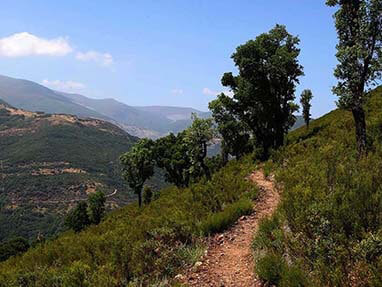 Rutas canales romanos orellan