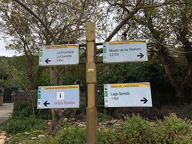 Ruta perimetral medulas