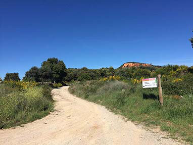 Ruta perimetral medulas