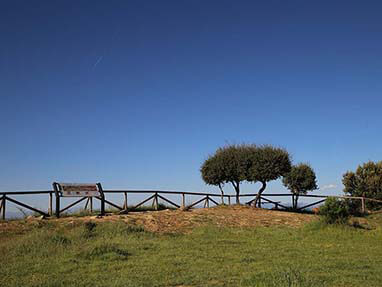 Ruta perimetral medulas