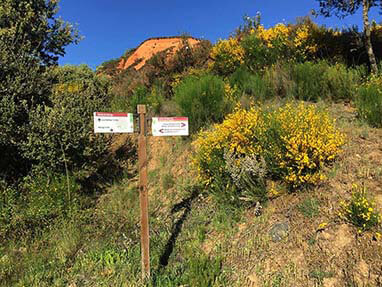 Ruta perimetral medulas