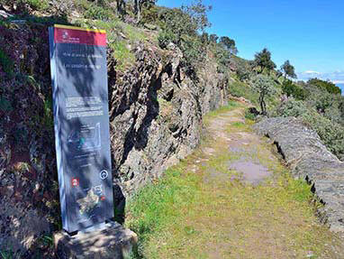 Ruta perimetral medulas