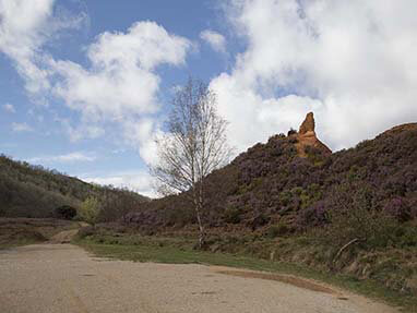 Ruta perimetral medulas