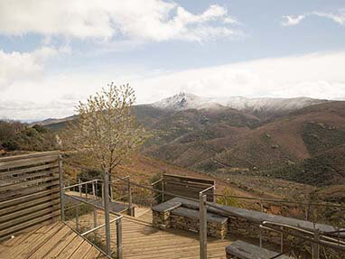 Ruta perimetral medulas