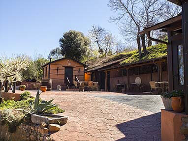 Ruta perimetral medulas