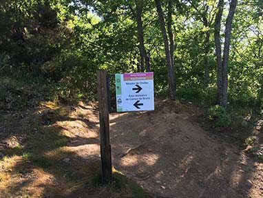 Senda mina romana oro medulas